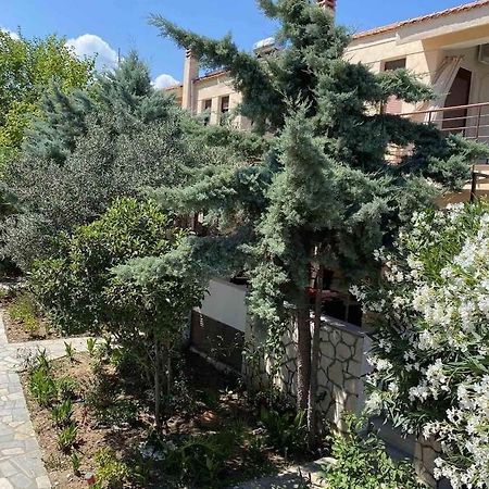 Papadopoulos Houses Nikiti  Esterno foto
