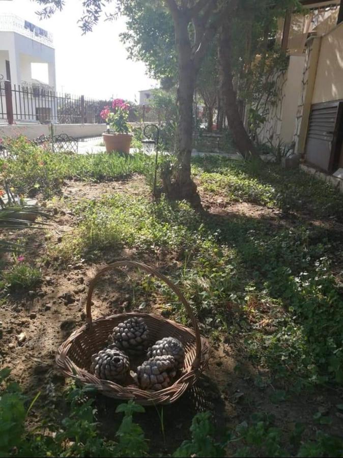 Papadopoulos Houses Nikiti  Esterno foto