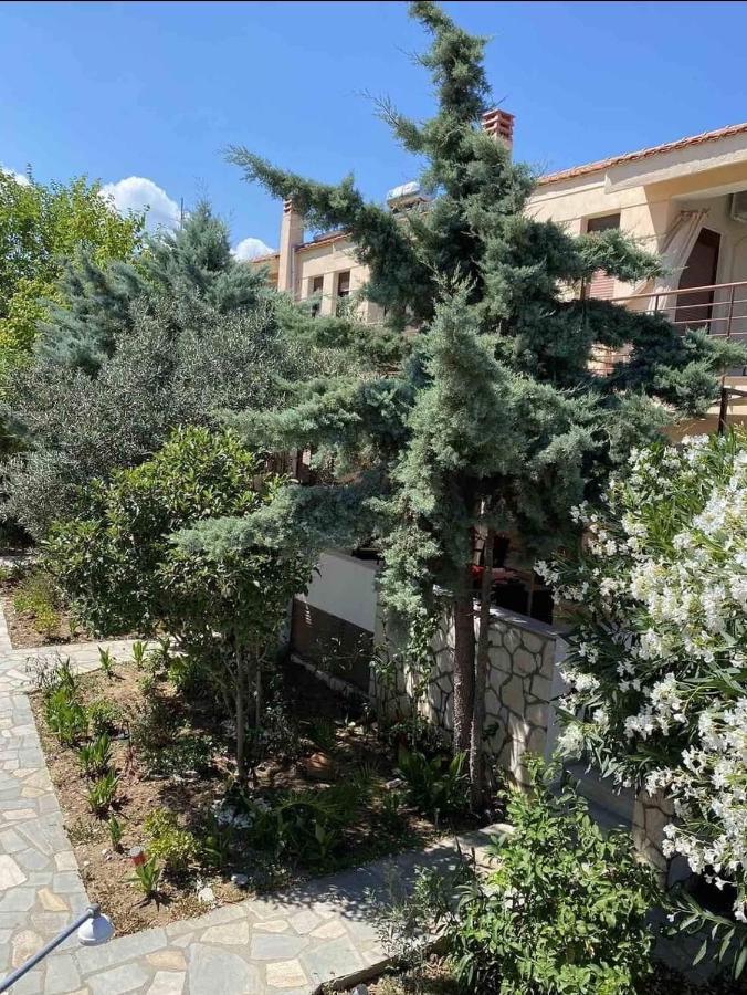 Papadopoulos Houses Nikiti  Esterno foto